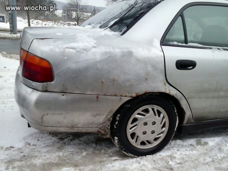 Blacharka po polsku