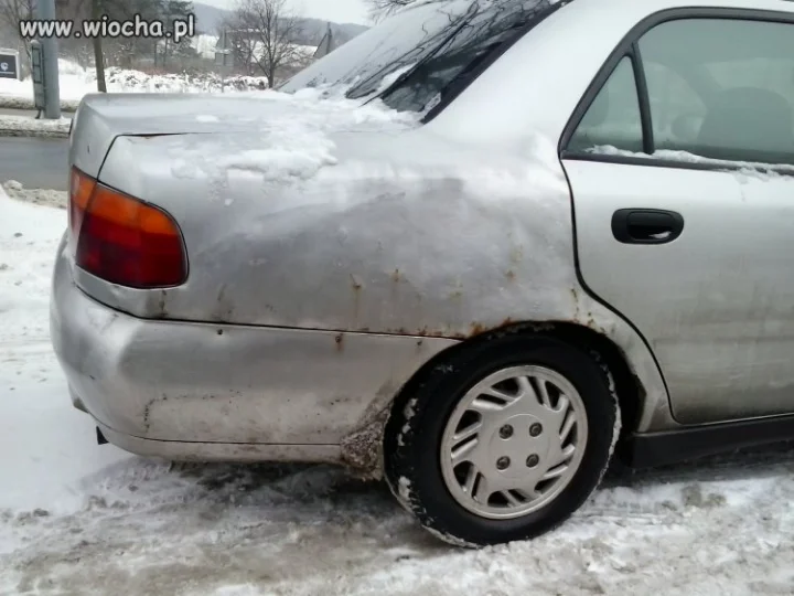 Blacharka po polsku