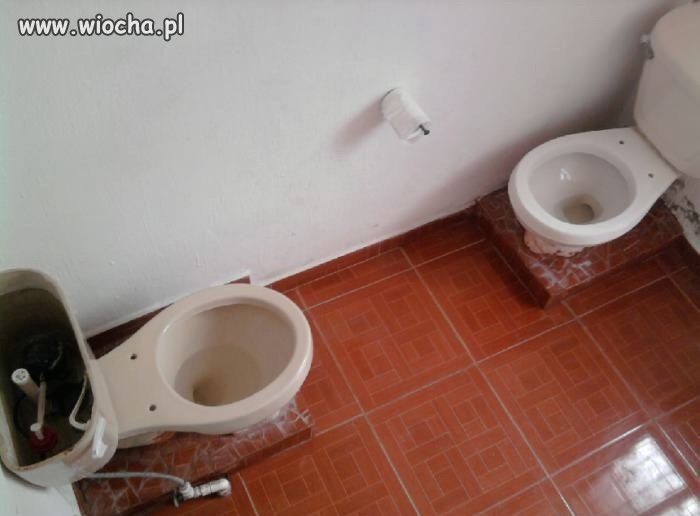 Tymczasem w WC