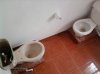 Tymczasem w WC