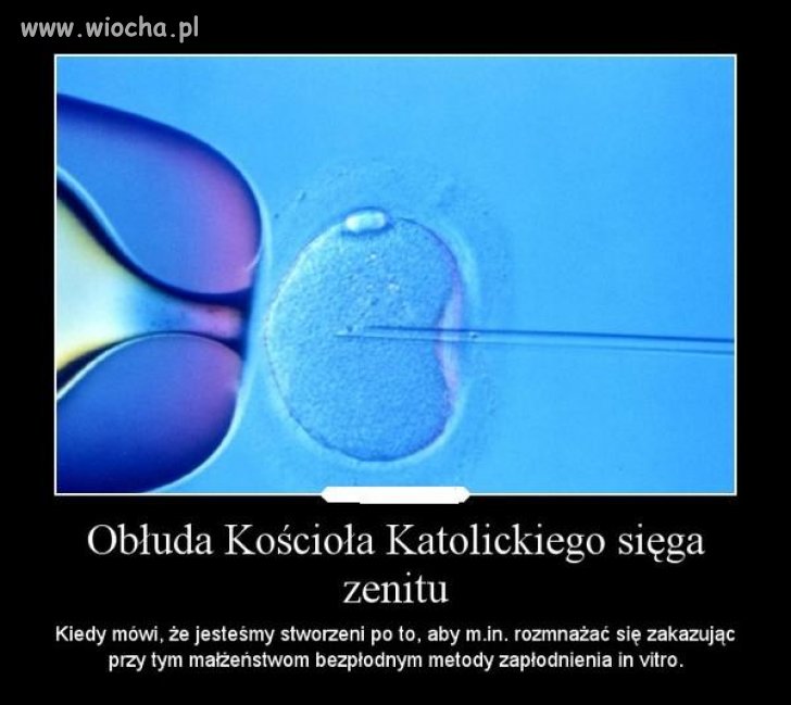 Obłuda kościoła katolickiego sięga zenitu 