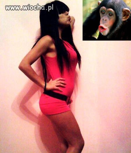 Teoria ewolucji 