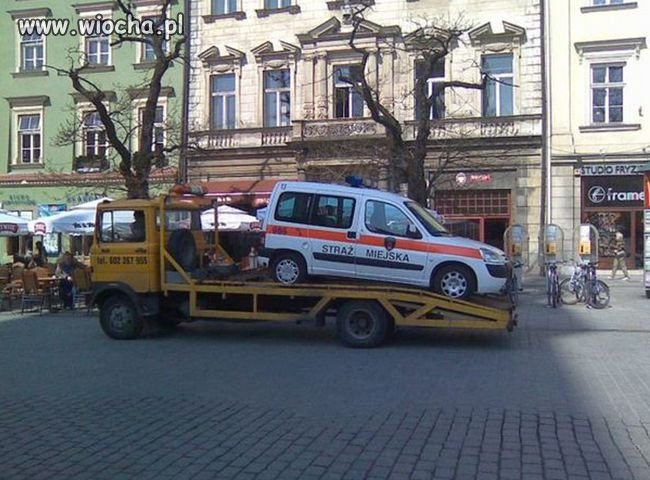 Woził wilk razy kilka, powieźli i wilka ...
