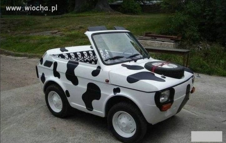 Cabrio Maluszek coś dla kobiety...