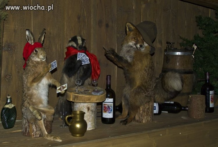 Czas rozegrać partyjke panie i panowie.
