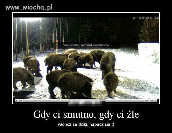 Ortografia bardzo poprawna