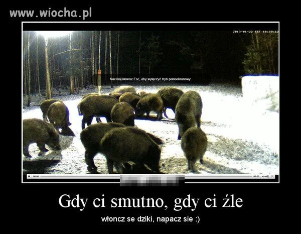Ortografia bardzo poprawna