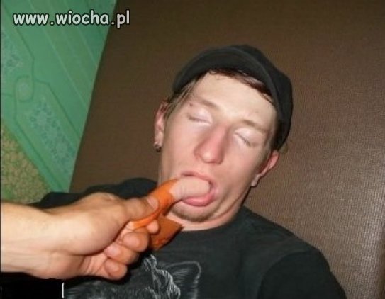 Z parówką w pysku