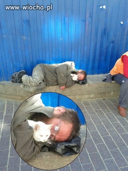Kto powiedział, że pies to najlepszy przyjaciel człowieka ..