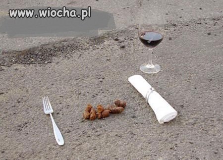 A Ty sprzątasz po swoim psie?