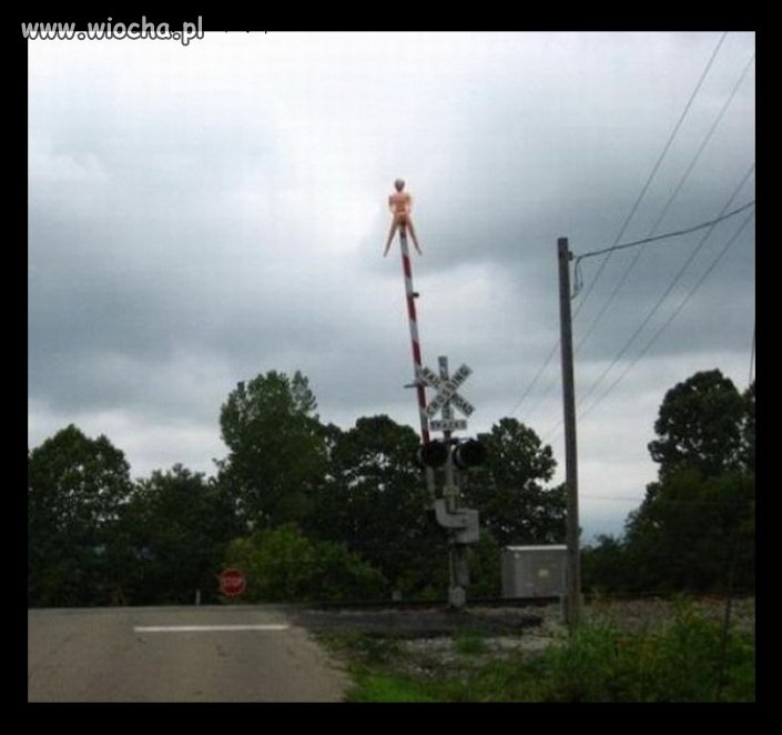Dróżniczka