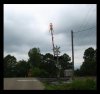 Dróżniczka