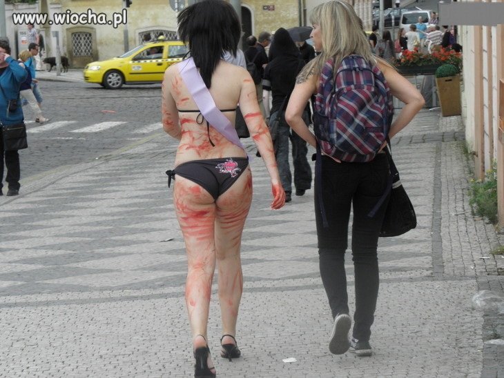 To w rzeźni mają hostessy ?