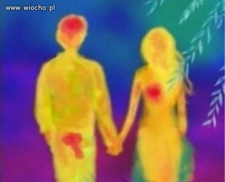 Termowizja prawdę ci powie