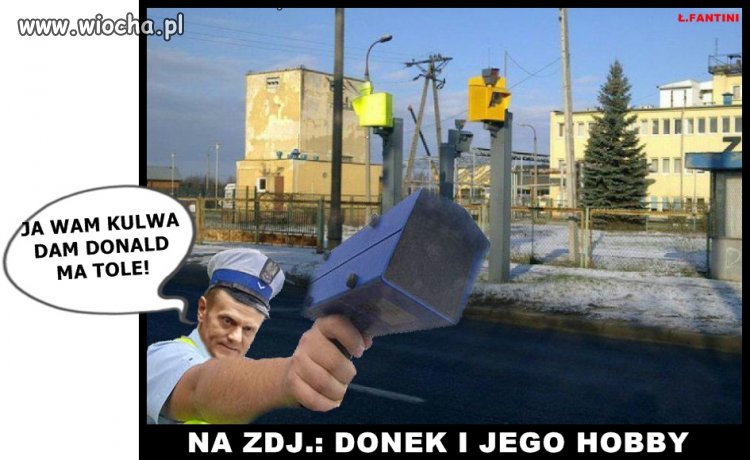 Ruda pała 