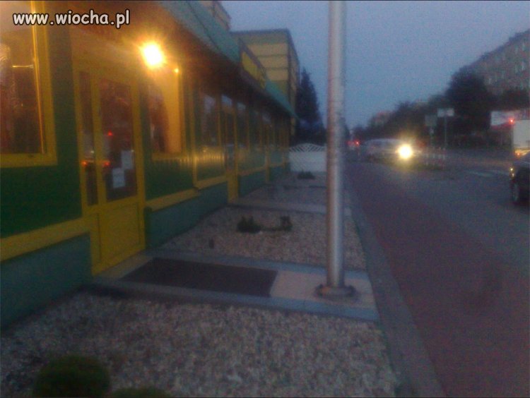 Takie rzeczy tylko w Polsce,