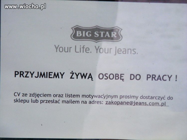 Oferta pracy w Zakopanem