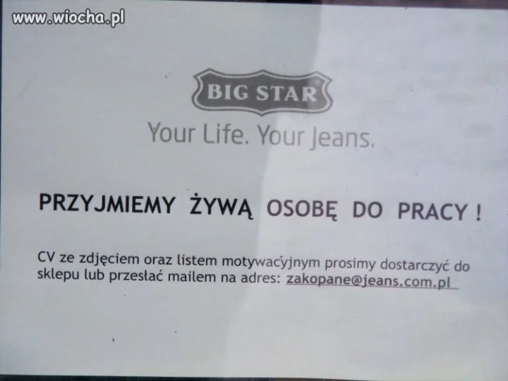 Oferta pracy w Zakopanem