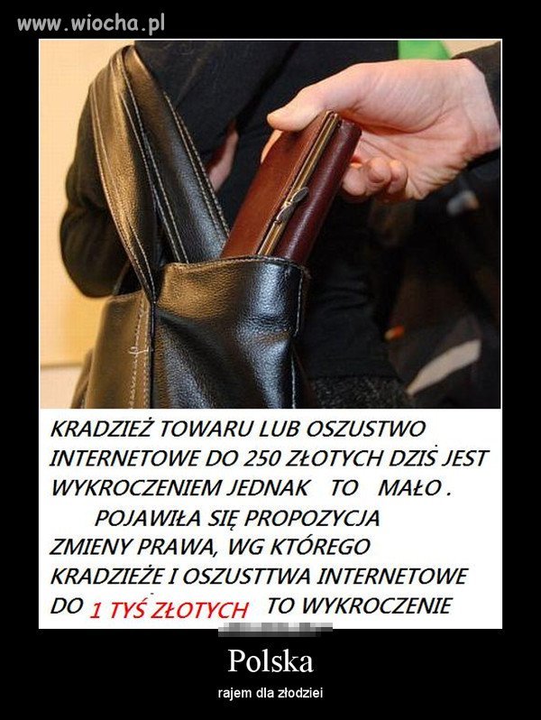 POLSKA - raj dla złodzieja 