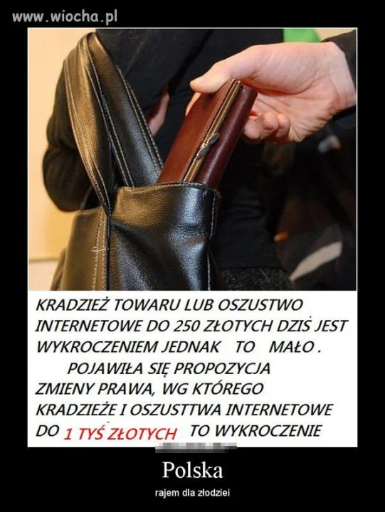 POLSKA - raj dla złodzieja 