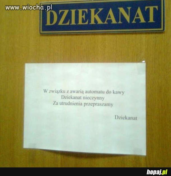 Bo panie w dziekanacie