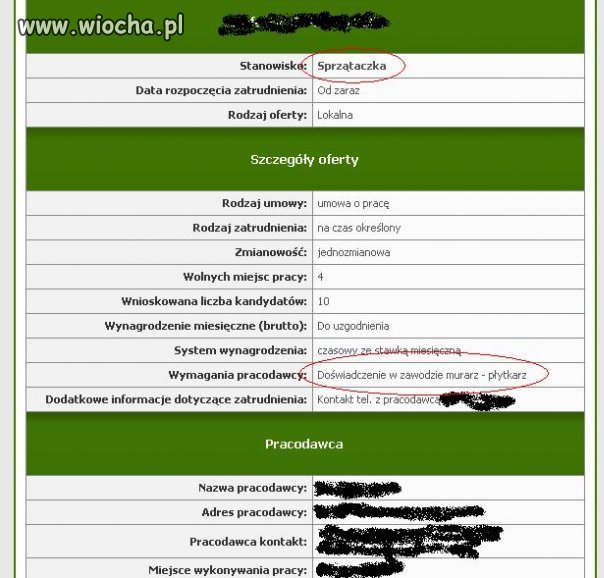 Wielofunkcyjna sprzątaczka