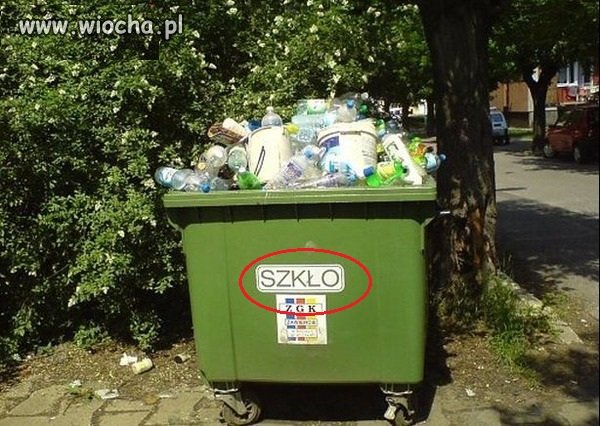 Polska- kraj ignorantów i...analfabetów???
