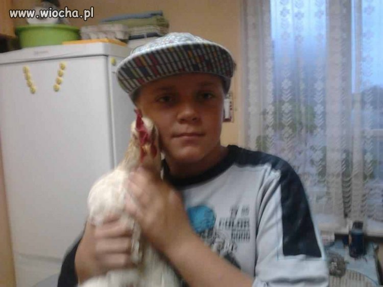 Takie tam z kurą