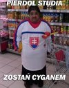 Rodowity
