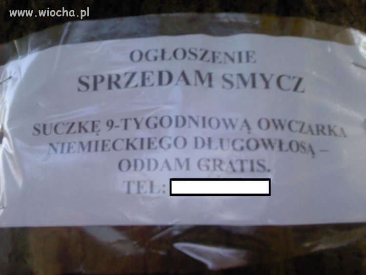 Sprzedam smycz 
