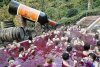 Wino i do picia