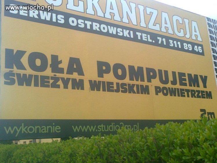 Bo najlepsze..
