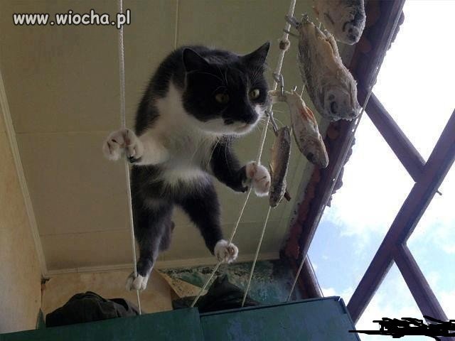 Mission Impossible