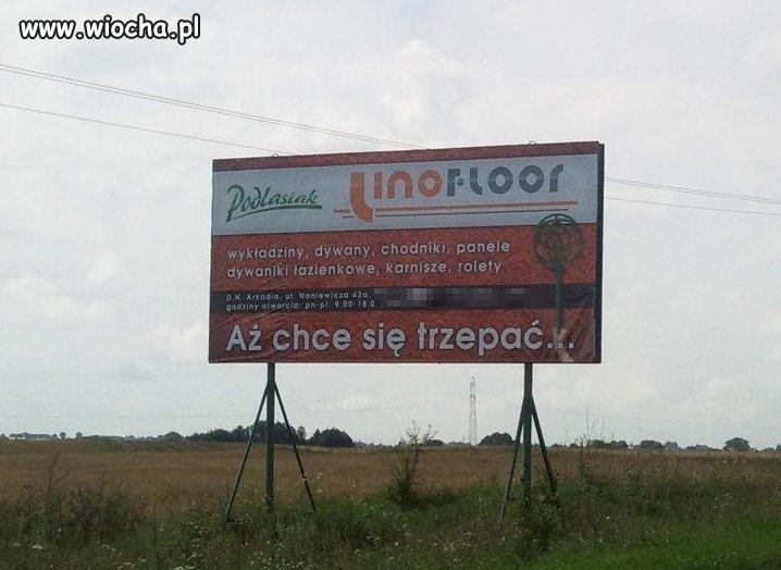 Dzisiejsze reklamy.