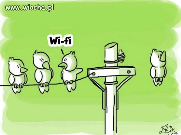 W przyrodzie 