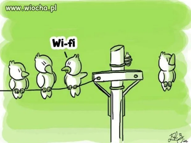 W przyrodzie 