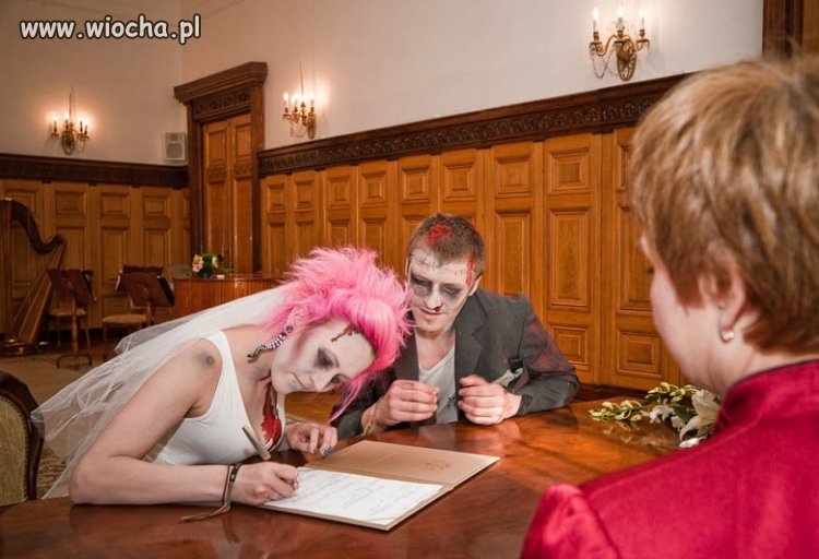 Zombi zaczyna nowe życie