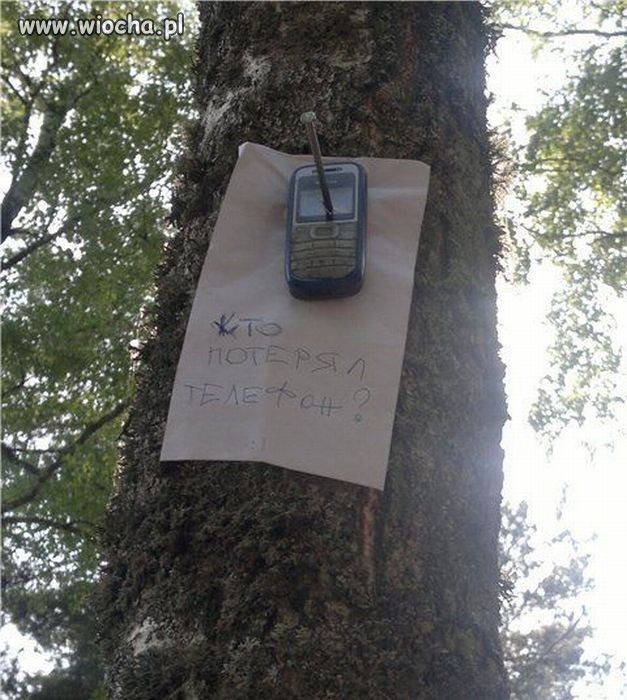 Poszukiwany