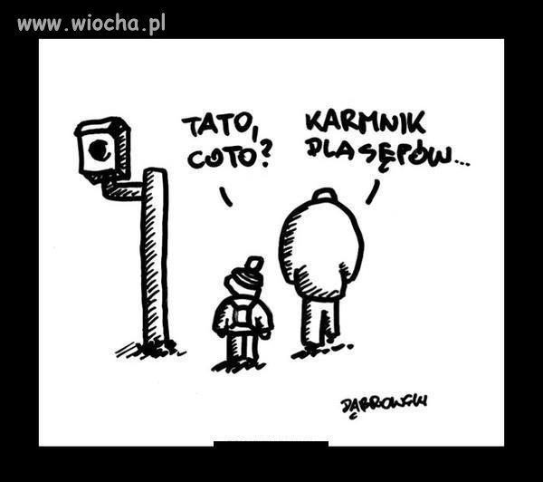 Tato co to?