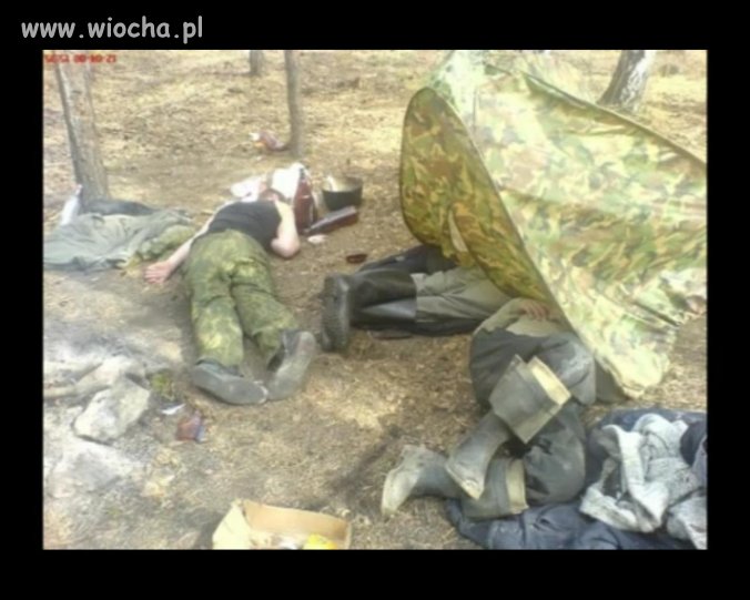 Miało być polowanie