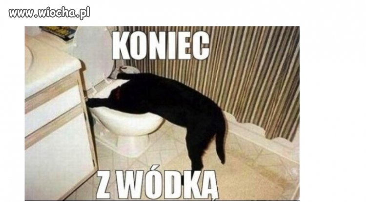 Zawsze 