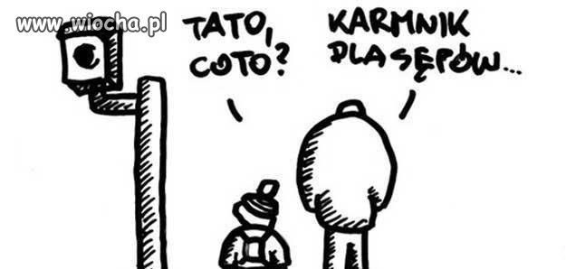 Jak wam się podoba przesłanie dla młodego 