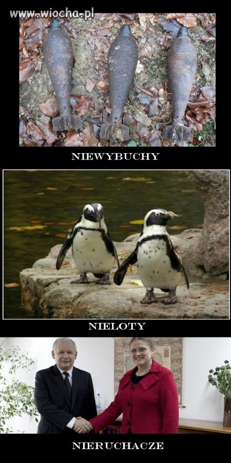Nie ...