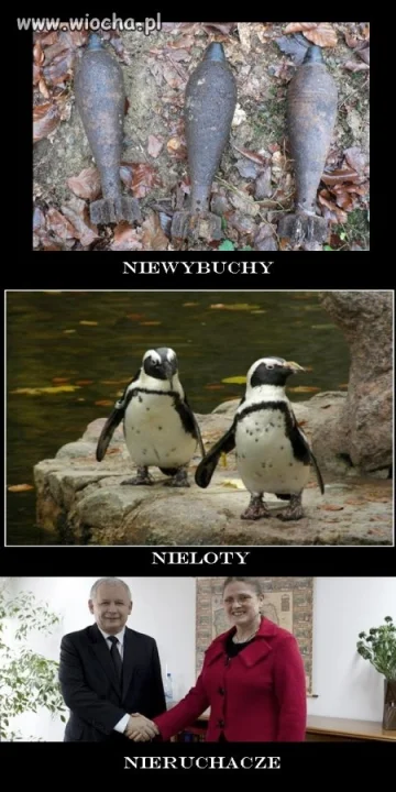 Nie ...