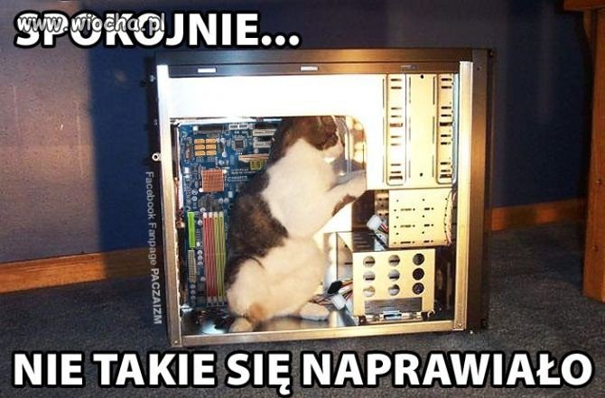 Ja cię nie moge