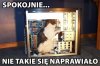 Ja cię nie moge