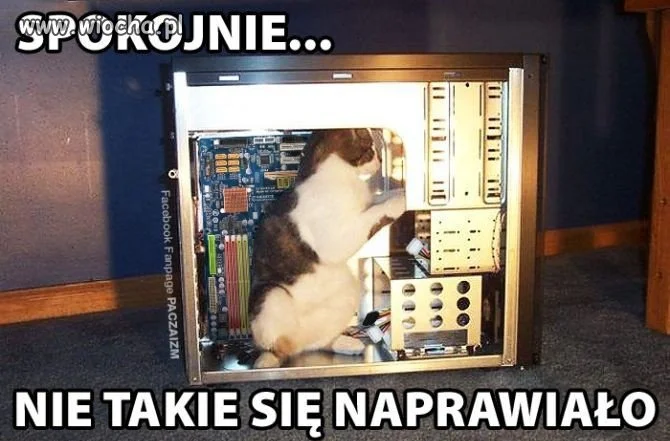 Ja cię nie moge