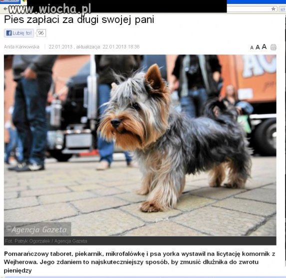 Za długi nie długo
