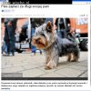 Za długi nie długo