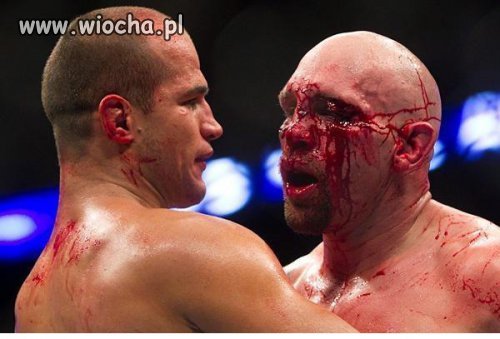 Prawdziwe MMA